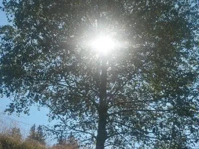 Sommerbilder Bild 18